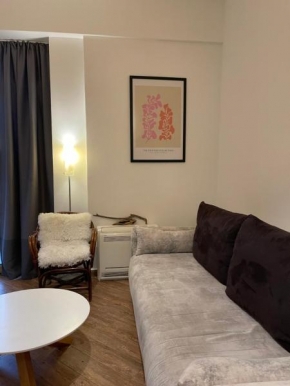 Central Victoria Apartment